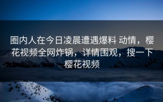 圈内人在今日凌晨遭遇爆料 动情，樱花视频全网炸锅，详情围观，搜一下樱花视频