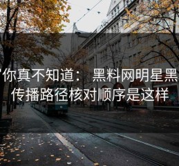 不写你真不知道： 黑料网明星黑料的传播路径核对顺序是这样