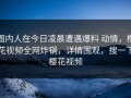 圈内人在今日凌晨遭遇爆料 动情，樱花视频全网炸锅，详情围观，搜一下樱花视频