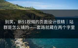 别笑，新91视频的页面设计很精｜站群是怎么铺的——套路就藏在两个字里