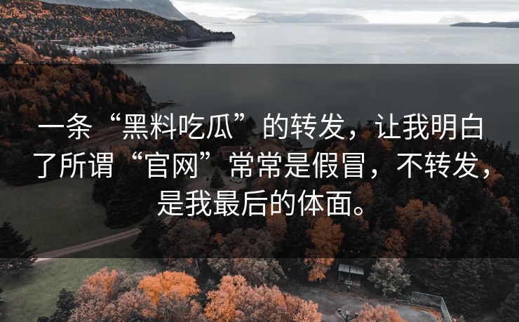 一条“黑料吃瓜”的转发，让我明白了所谓“官网”常常是假冒，不转发，是我最后的体面。